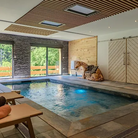 Prestige By Mahdi Piscine Interieure Privee Vue Montagnes 12pers 300m2 Fontpédrouse